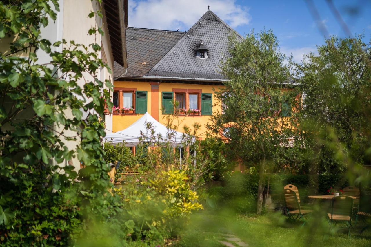 Bio-Weingut Staffelter Hof ξενώνας Kröv Εξωτερικό φωτογραφία