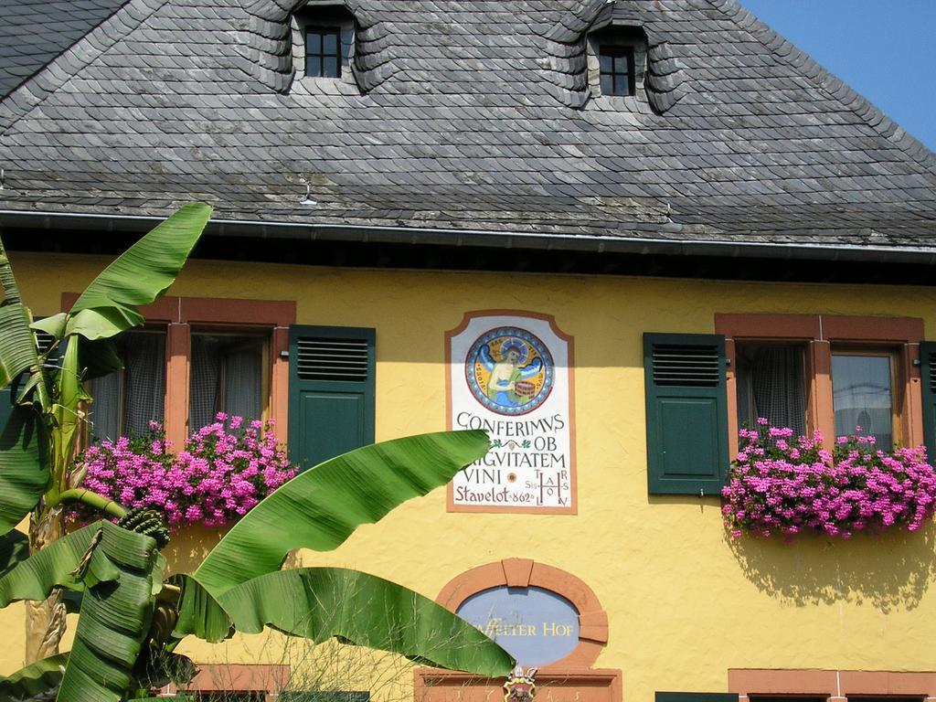 Bio-Weingut Staffelter Hof ξενώνας Kröv Εξωτερικό φωτογραφία